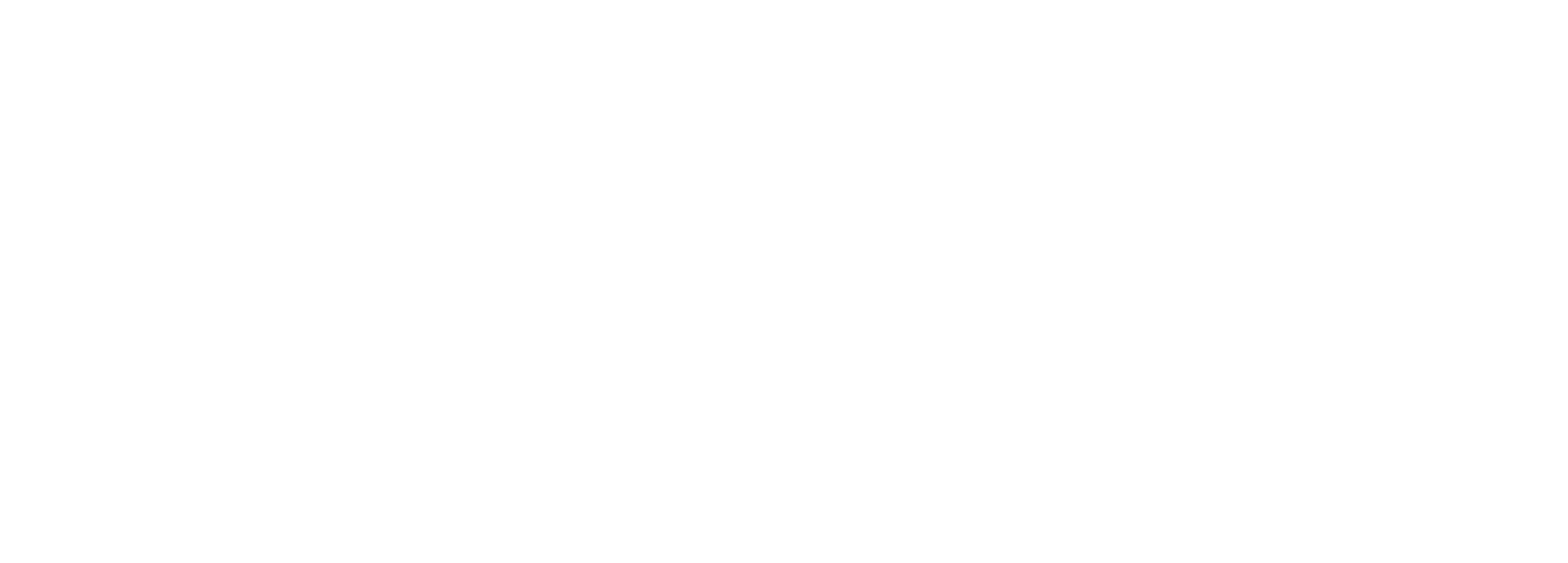 Leader Guyana